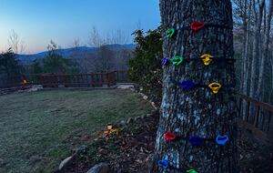 A Private Mountain Home Designed Around Views, Space, and Shared Time - Morganton, Georgia