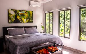 Infinity Edge Pool Above Carara Rainforest and Pacific Coast - Tarcoles, Costa Rica