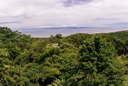 Infinity Edge Pool Above Carara Rainforest and Pacific Coast - Tarcoles, Costa Rica