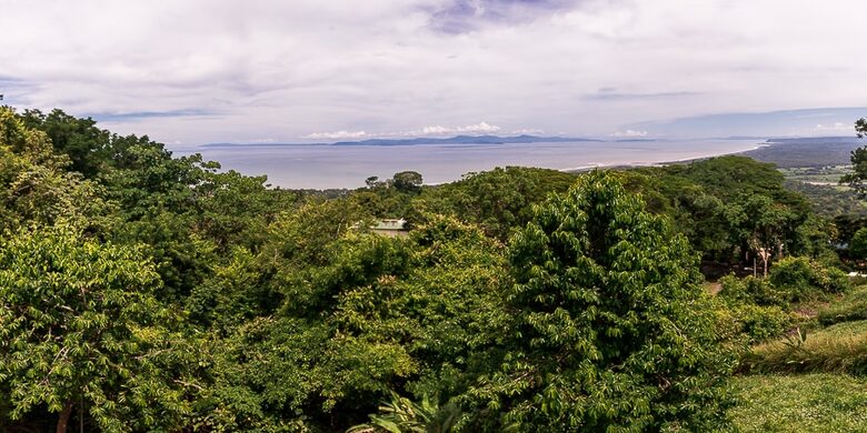 Infinity Edge Pool Above Carara Rainforest and Pacific Coast - Tarcoles, Costa Rica