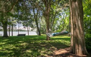 Baydream Believer - St. Michaels, Maryland