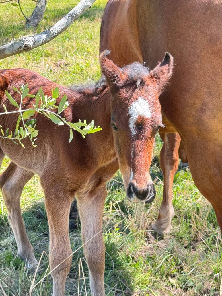 Riverfront Home Designed for Slow Days and Shared Rituals - Fosterton, Australia