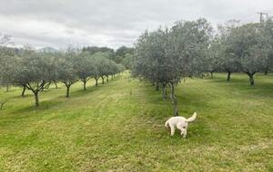 Riverfront Home Designed for Slow Days and Shared Rituals - Fosterton, Australia