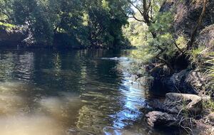 Riverfront Home Designed for Slow Days and Shared Rituals - Fosterton, Australia