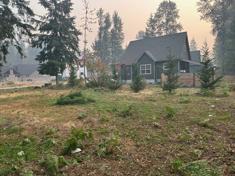 A Modern Alpine Chalet in the Heart of Packwood - Packwood, Washington