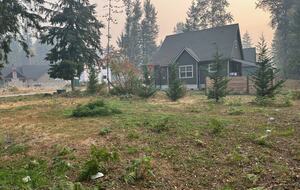 A Modern Alpine Chalet in the Heart of Packwood - Packwood, Washington