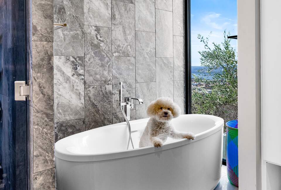 Front-Row Panorama over San Miguel - San Miguel de Allende, Mexico