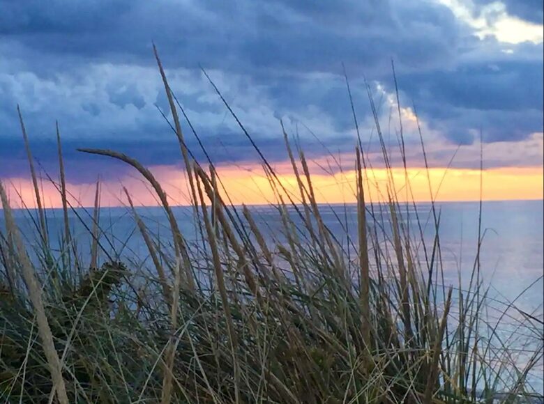 Une retraite classique à Falmouth, à deux pas de la plage - East Falmouth, Massachusetts