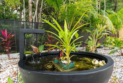 A Private Rainforest Hideaway Steps from Palm Cove Beach - Palm Cove, Australia