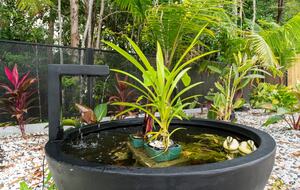 A Private Rainforest Hideaway Steps from Palm Cove Beach - Palm Cove, Australia