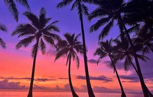 A Private Rainforest Hideaway Steps from Palm Cove Beach - Palm Cove, Australia