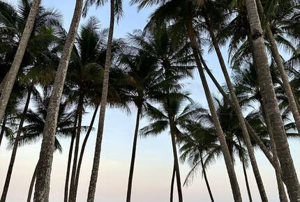 A Private Rainforest Hideaway Steps from Palm Cove Beach - Palm Cove, Australia