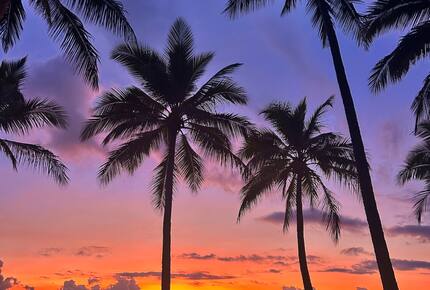 A Private Rainforest Hideaway Steps from Palm Cove Beach - Palm Cove, Australia