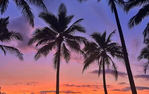 A Private Rainforest Hideaway Steps from Palm Cove Beach - Palm Cove, Australia