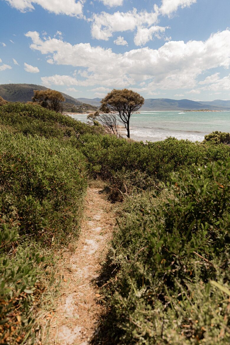 Dune-Top Beach House Overlooking Waubs Bay, Bicheno - Bicheno, Australia