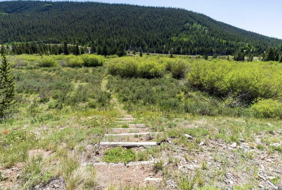 Historic Mountain Cabin on Five Private Alpine Acres - Alma, Colorado