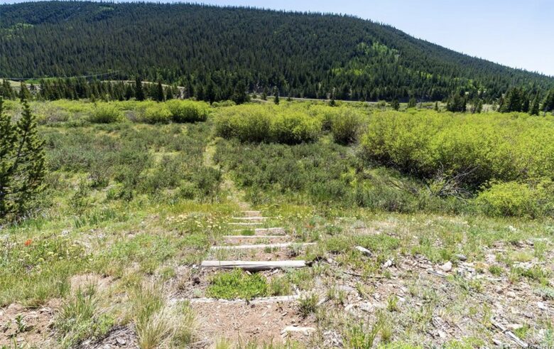 Historic Mountain Cabin on Five Private Alpine Acres - Alma, Colorado