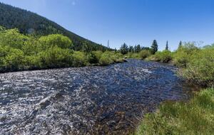 Historic Mountain Cabin on Five Private Alpine Acres - Alma, Colorado