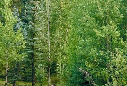 Classic Winter Park Lodge Near Slopes & Village - Winter Park, Colorado