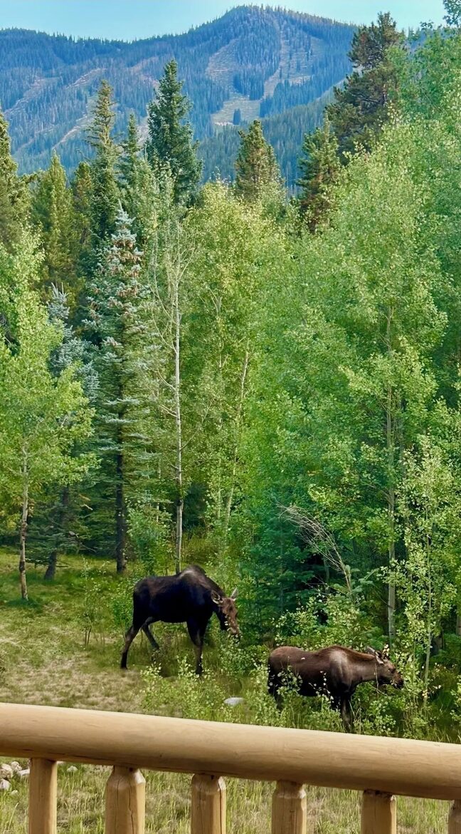 Classic Winter Park Lodge Near Slopes & Village - Winter Park, Colorado