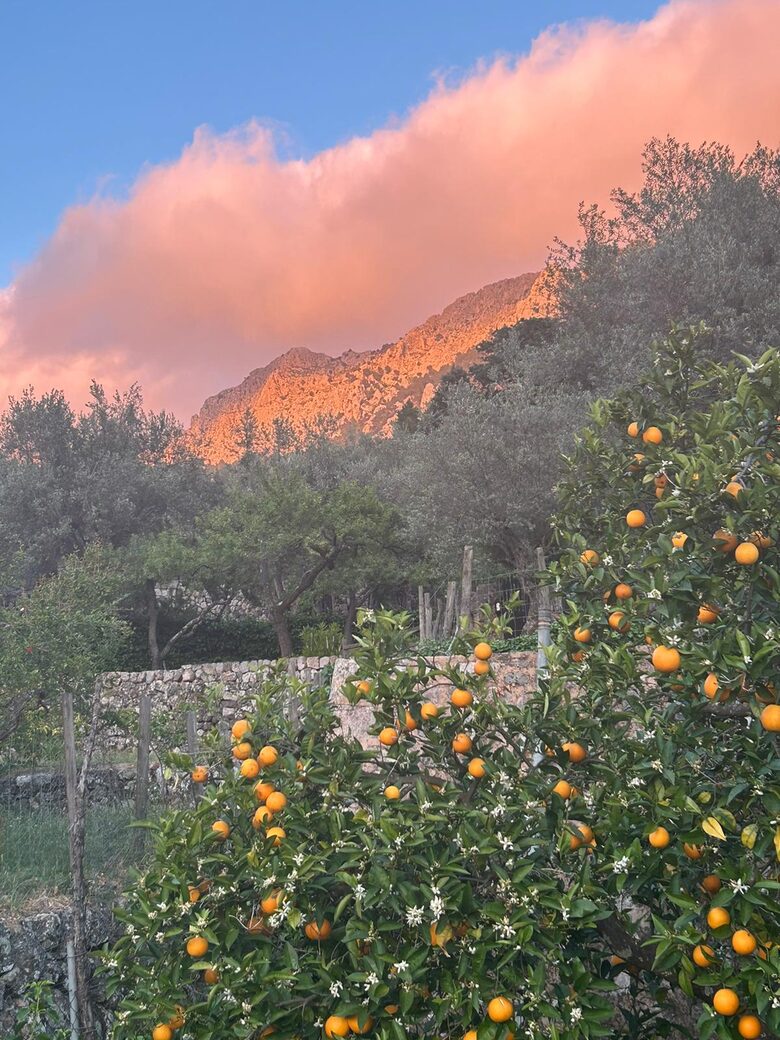 Tramuntana Home with Unrivaled Valley Views - Fornalutx, Mallorca, Spain
