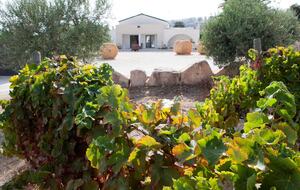 A Suite at Riofavara wine estate - Ispica, Italy