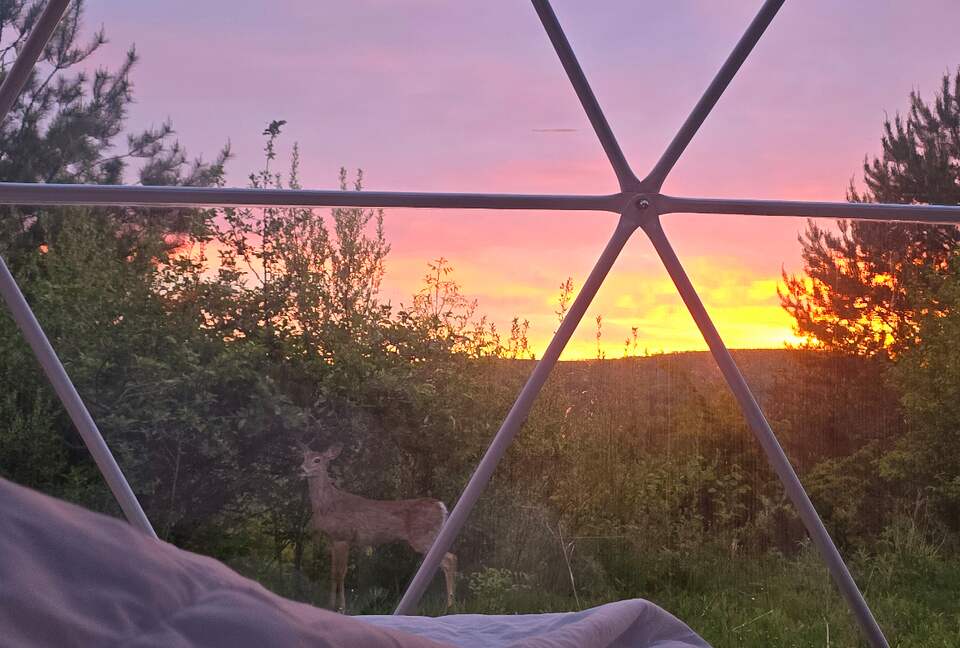 A Geodesic Dome Escape Overlooking the Boyne Valley - Boyne Falls, Michigan
