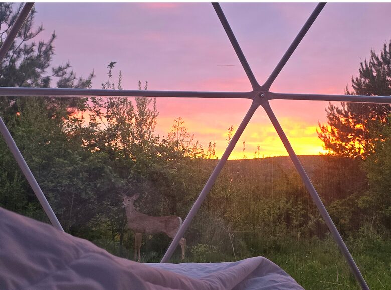 A Geodesic Dome Escape Overlooking the Boyne Valley - Boyne Falls, Michigan