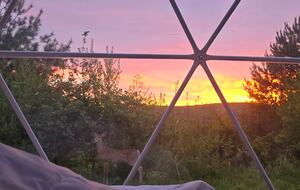 A Geodesic Dome Escape Overlooking the Boyne Valley - Boyne Falls, Michigan