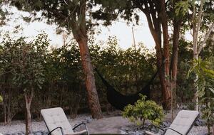 A Luxe Treehouse Retreat Above the Phoenix Canopy - Phoenix, Arizona