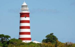 All-Inclusive 7-night TradeWinds AQUA Experience in Abacos on TW60 Catamaran with Crew - Abacos, Bahamas