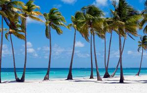 All-Inclusive 7-night TradeWinds AQUA Experience in Abacos on TW60 Catamaran with Crew - Abacos, Bahamas