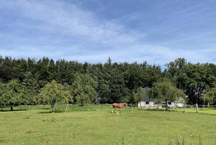 Barn and horse paddock