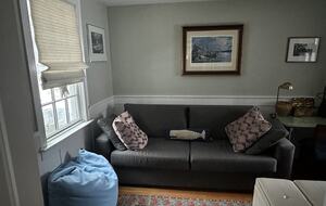 Wellesley Cottage Retreat Near Boston - Wellesley, Massachusetts