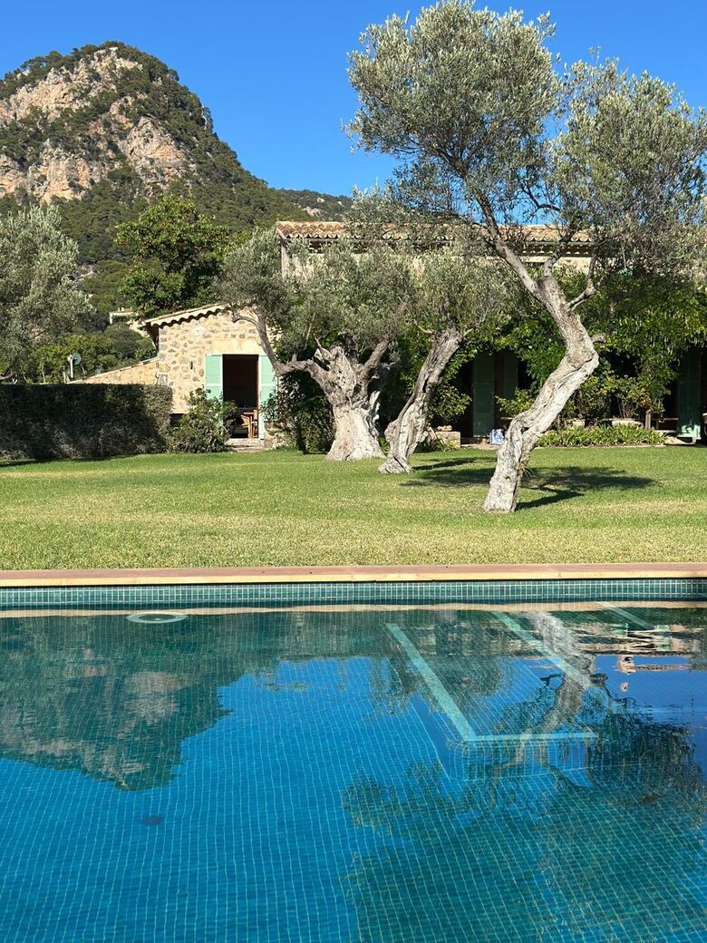 Idylic Finca Amidst Valldemossa's Olive Groves - Valdemossa, Mallorca, Spain