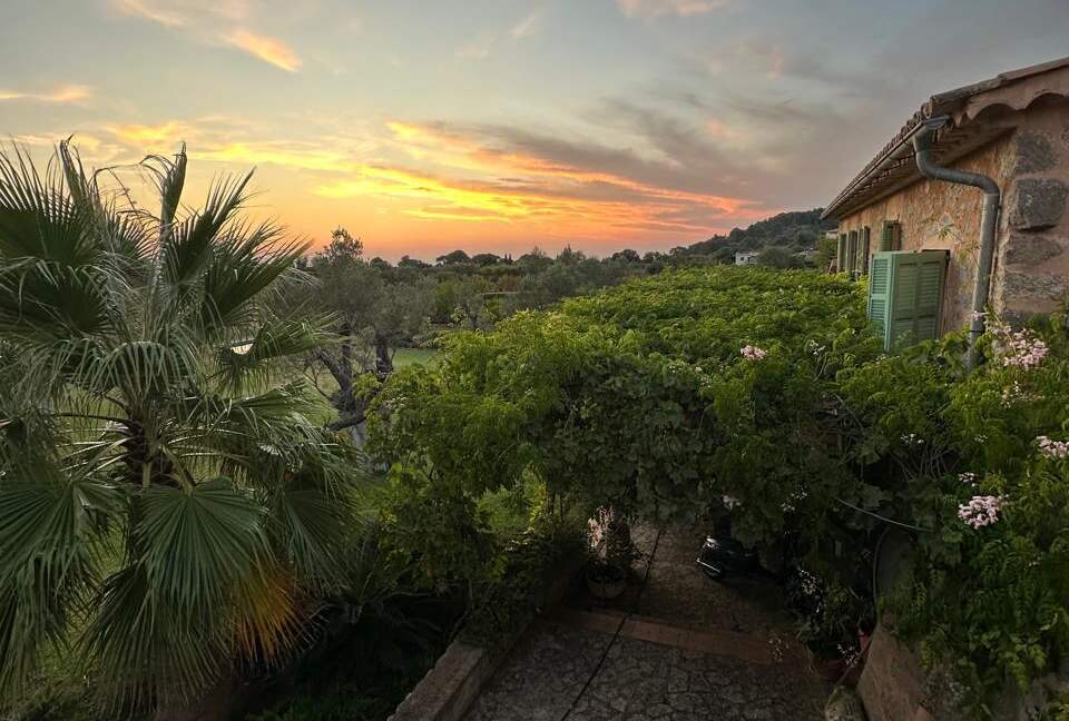 Idylic Finca Amidst Valldemossa's Olive Groves - Valdemossa, Mallorca, Spain