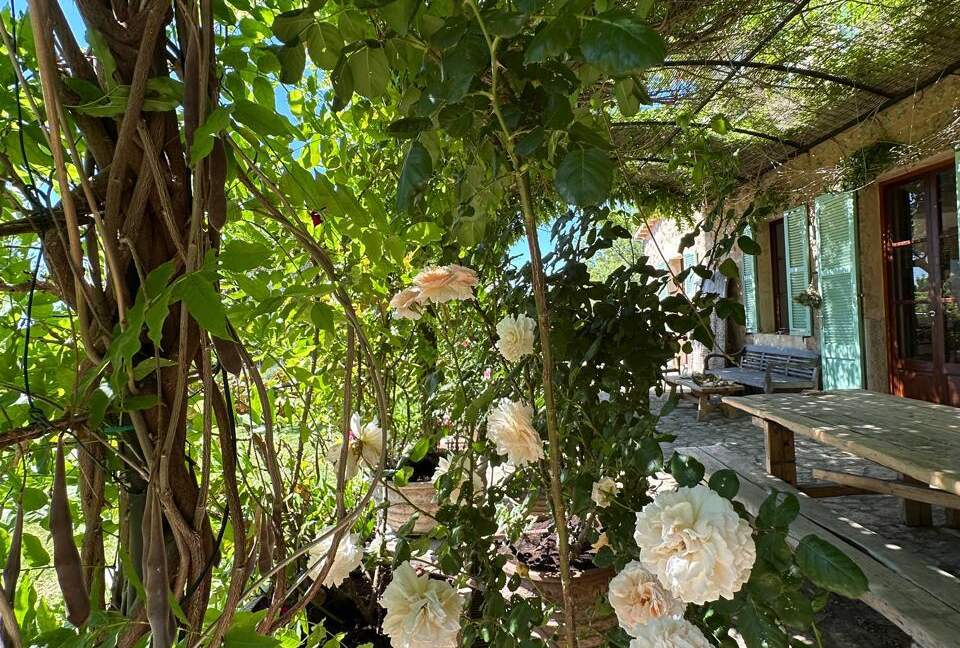 Idylic Finca Amidst Valldemossa's Olive Groves - Valdemossa, Mallorca, Spain