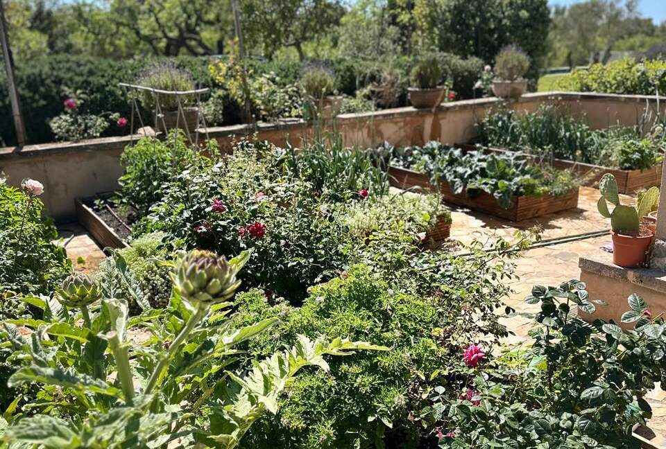 Idylic Finca Amidst Valldemossa's Olive Groves - Valdemossa, Mallorca, Spain