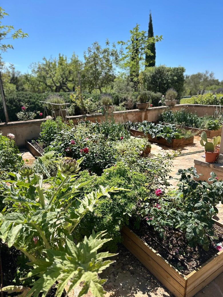 Idylic Finca Amidst Valldemossa's Olive Groves - Valdemossa, Mallorca, Spain