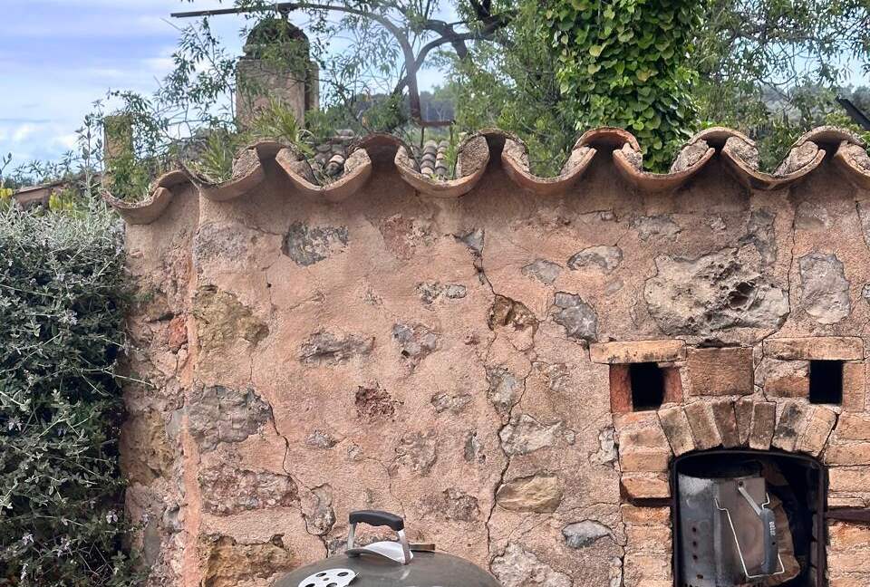 Idylic Finca Amidst Valldemossa's Olive Groves - Valdemossa, Mallorca, Spain