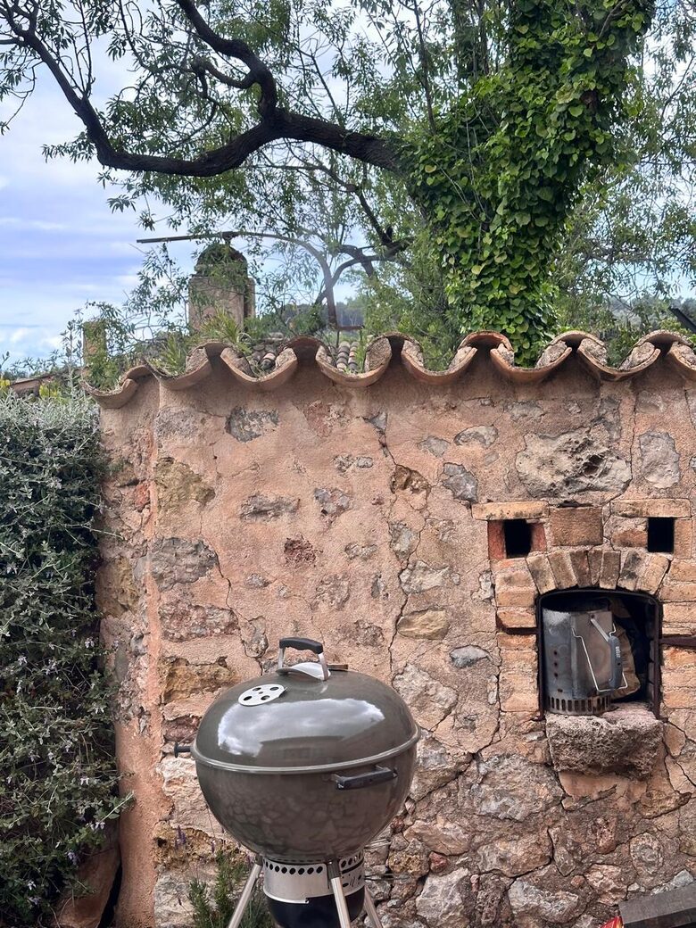 Idylic Finca Amidst Valldemossa's Olive Groves - Valdemossa, Mallorca, Spain
