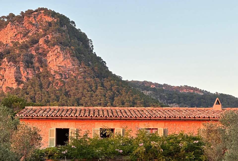 Idylic Finca Amidst Valldemossa's Olive Groves - Valdemossa, Mallorca, Spain