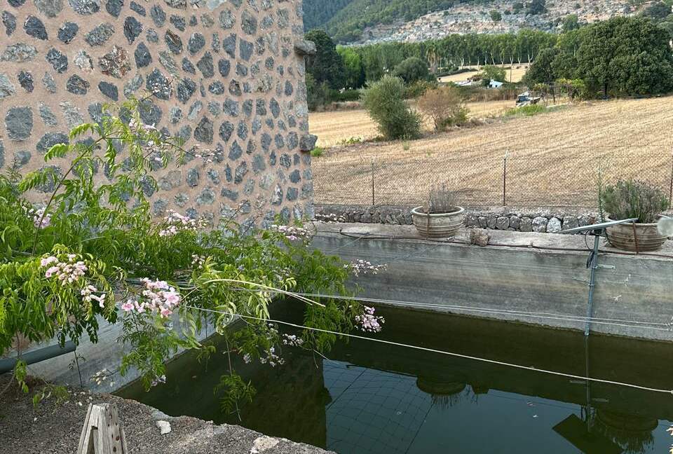 Idylic Finca Amidst Valldemossa's Olive Groves - Valdemossa, Mallorca, Spain