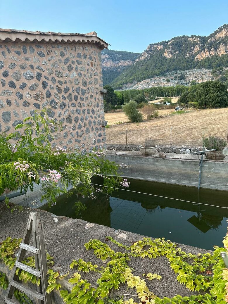 Idylic Finca Amidst Valldemossa's Olive Groves - Valdemossa, Mallorca, Spain
