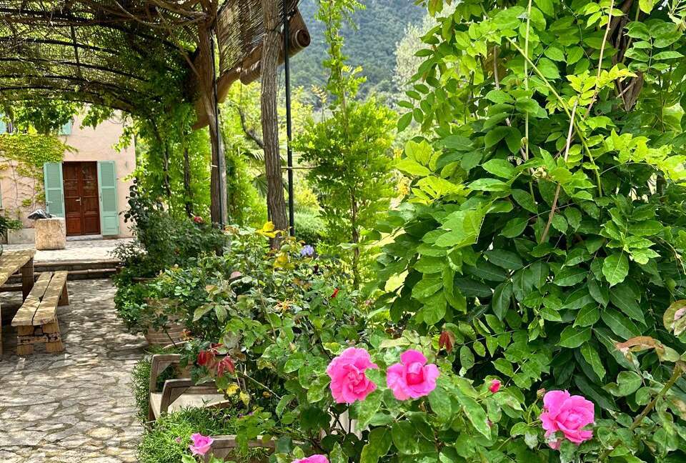 Idylic Finca Amidst Valldemossa's Olive Groves - Valdemossa, Mallorca, Spain