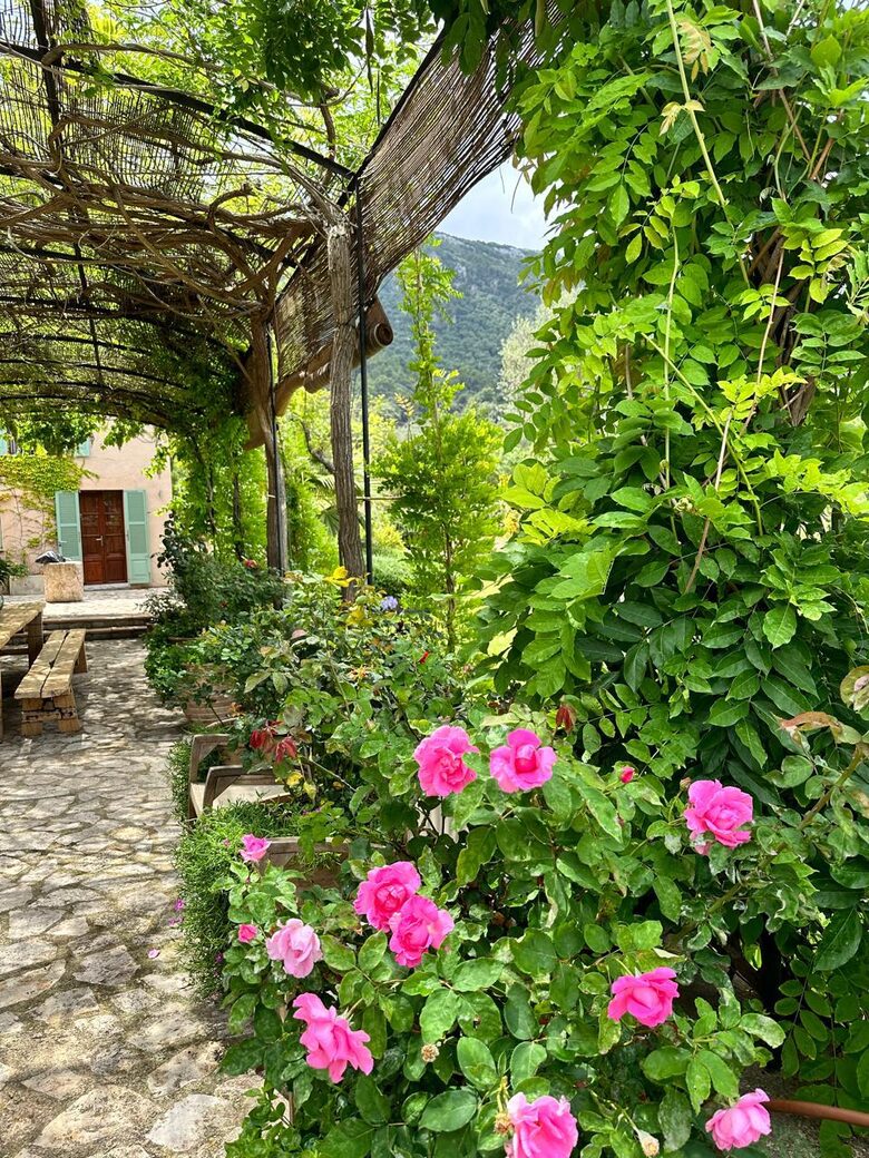 Idylic Finca Amidst Valldemossa's Olive Groves - Valdemossa, Mallorca, Spain