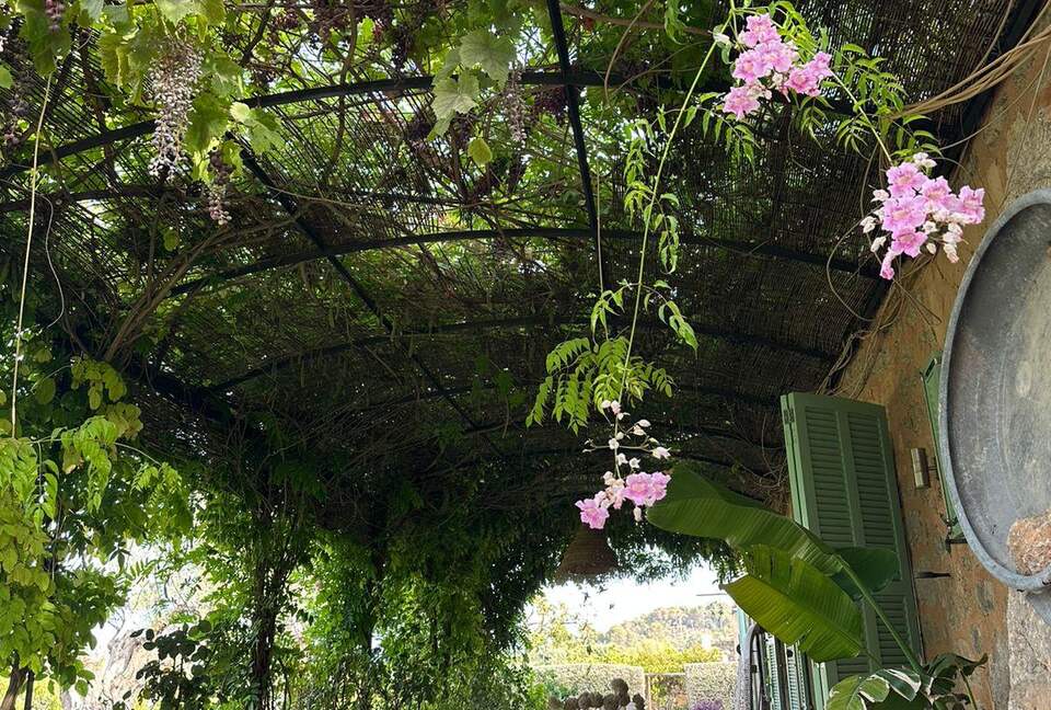 Idylic Finca Amidst Valldemossa's Olive Groves - Valdemossa, Mallorca, Spain