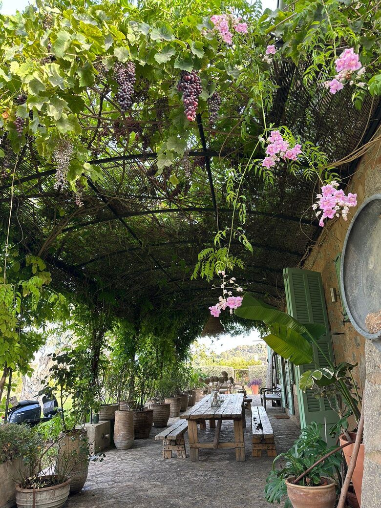 Idylic Finca Amidst Valldemossa's Olive Groves - Valdemossa, Mallorca, Spain
