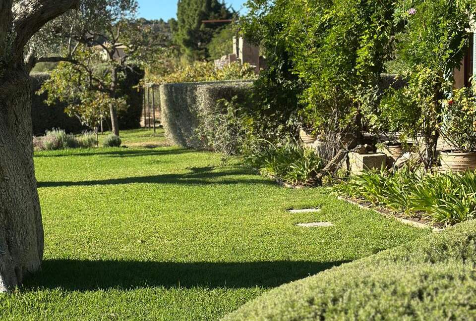 Idylic Finca Amidst Valldemossa's Olive Groves - Valdemossa, Mallorca, Spain