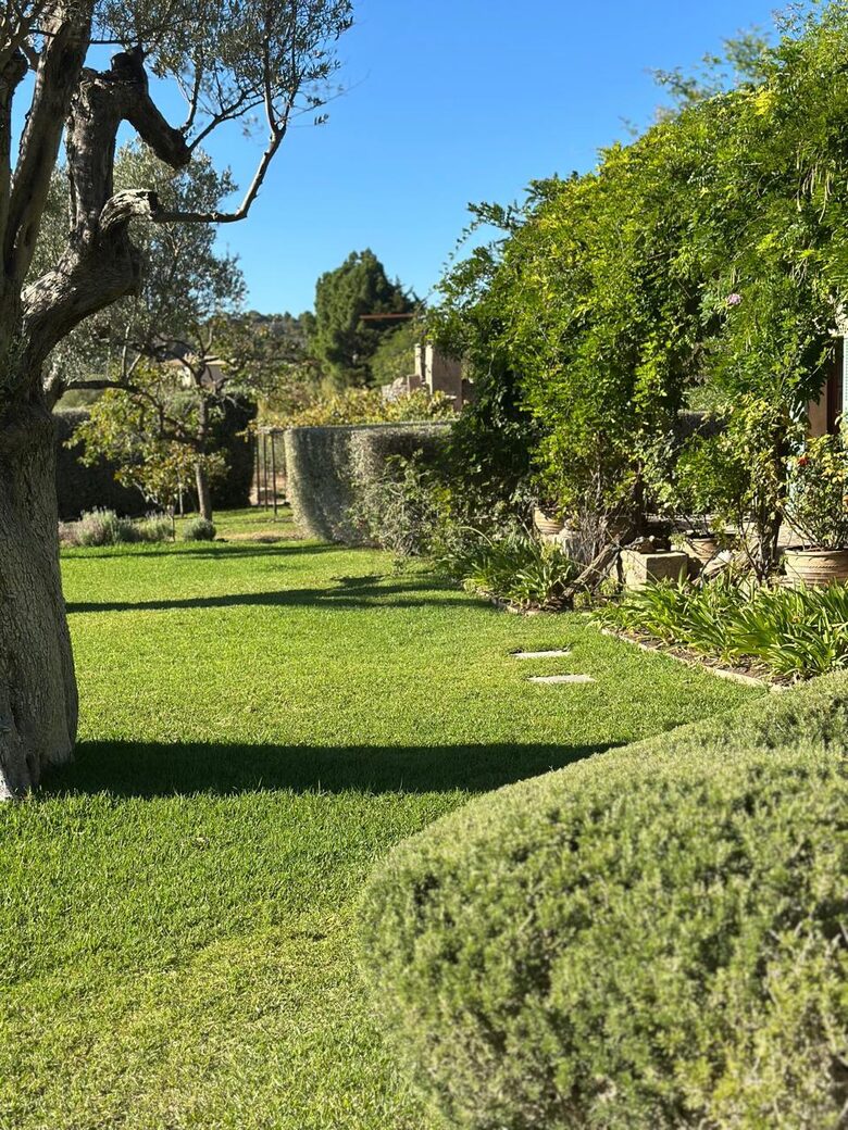 Idylic Finca Amidst Valldemossa's Olive Groves - Valdemossa, Mallorca, Spain
